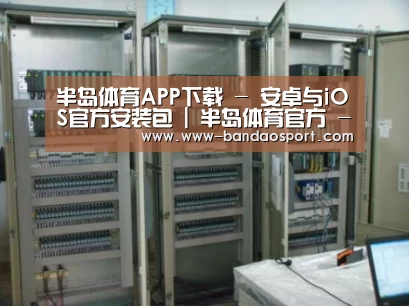 半岛体育app案例展示五