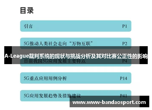 A-League裁判系统的现状与挑战分析及其对比赛公正性的影响