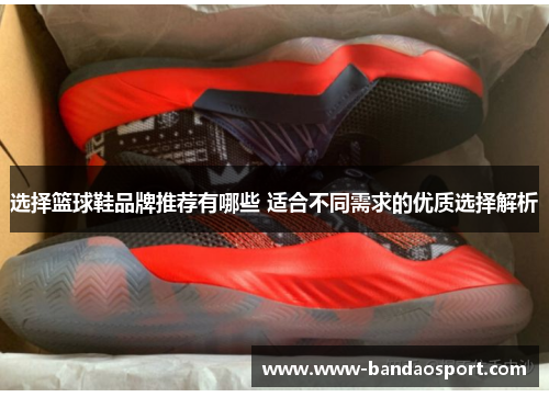 选择篮球鞋品牌推荐有哪些 适合不同需求的优质选择解析