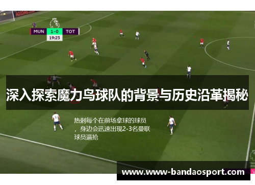 深入探索魔力鸟球队的背景与历史沿革揭秘 深入探索魔力鸟球队的背景与历史沿革揭秘