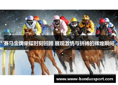 赛马金牌荣耀时刻回顾 展现激情与拼搏的辉煌瞬间 赛马金牌荣耀时刻回顾 展现激情与拼搏的辉煌瞬间