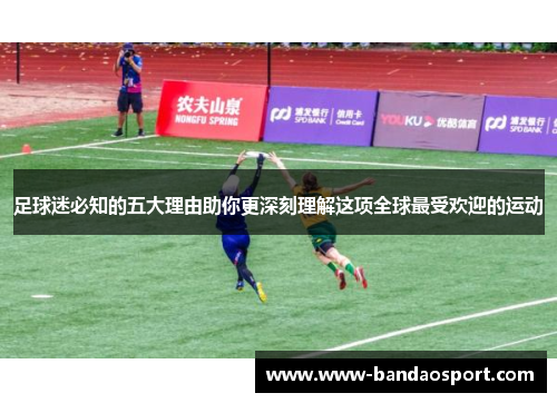 足球迷必知的五大理由助你更深刻理解这项全球最受欢迎的运动 足球迷必知的五大理由助你更深刻理解这项全球最受欢迎的运动