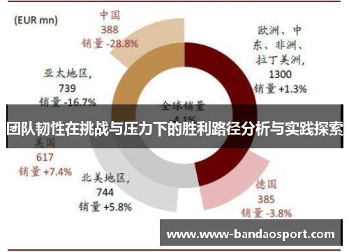 团队韧性在挑战与压力下的胜利路径分析与实践探索 团队韧性在挑战与压力下的胜利路径分析与实践探索