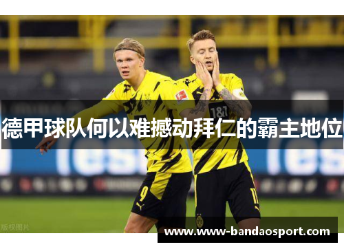 德甲球队何以难撼动拜仁的霸主地位 德甲球队何以难撼动拜仁的霸主地位