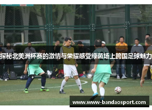 探秘北美洲杯赛的激情与荣耀感受绿茵场上跨国足球魅力