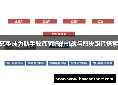 转型成为助手教练面临的挑战与解决路径探索
