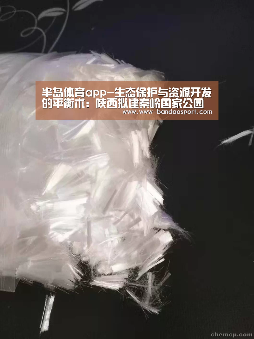 半岛体育app-生态保护与资源开发的平衡术:陕西拟建秦岭国家公园(图1) 半岛体育app下载